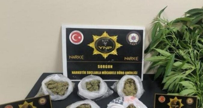 Yozgat’ta narkotikten uyuşturucu operasyonu! Haber gorseli